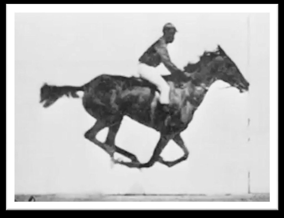 CLASS/Semester 1/Cinema Studies/Courses/Class 1/Pics/Pasted image 20240903162343.png